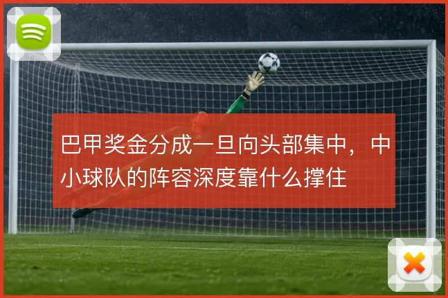 巴甲奖金分成一旦向头部集中，中小球队的阵容深度靠什么撑住